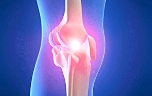 knee joint illustration