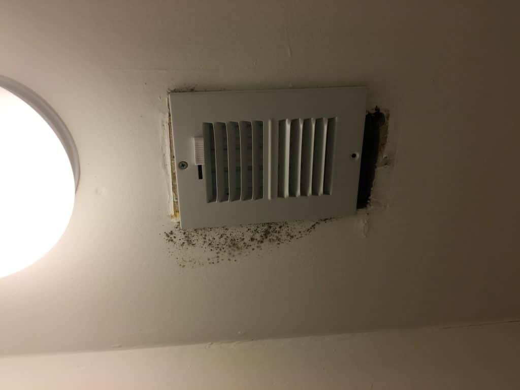 mold on air duct