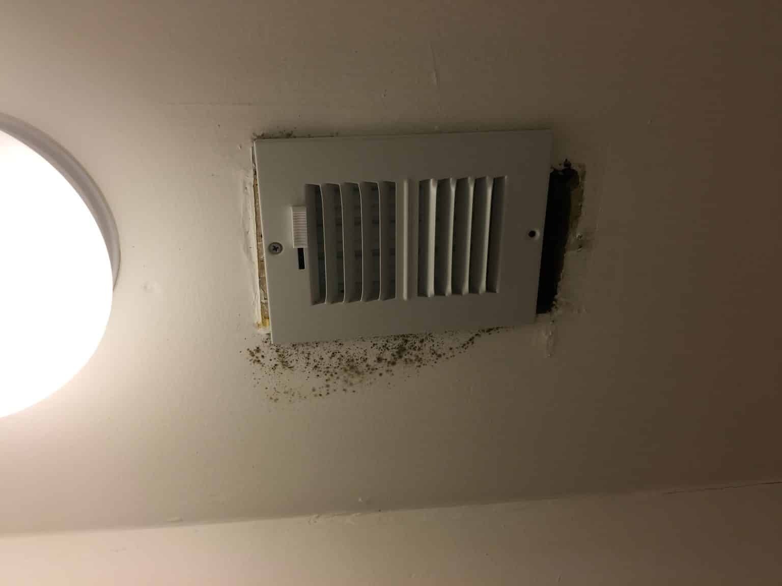 Mold On Your Air Conditioner? Causes And Cures Mission Air