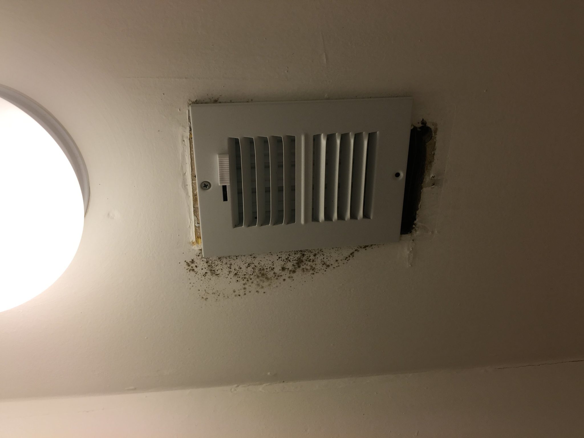 Mold On Your Air Conditioner? Causes And Cures Mission Air Conditioning & Plumbing